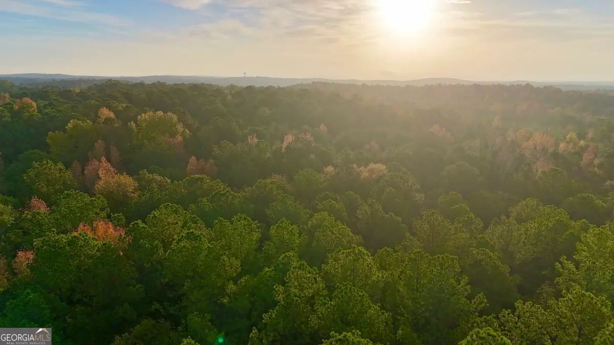 TRACT 2 Dennis Creek Road, Talbotton, GA 31827 - #1