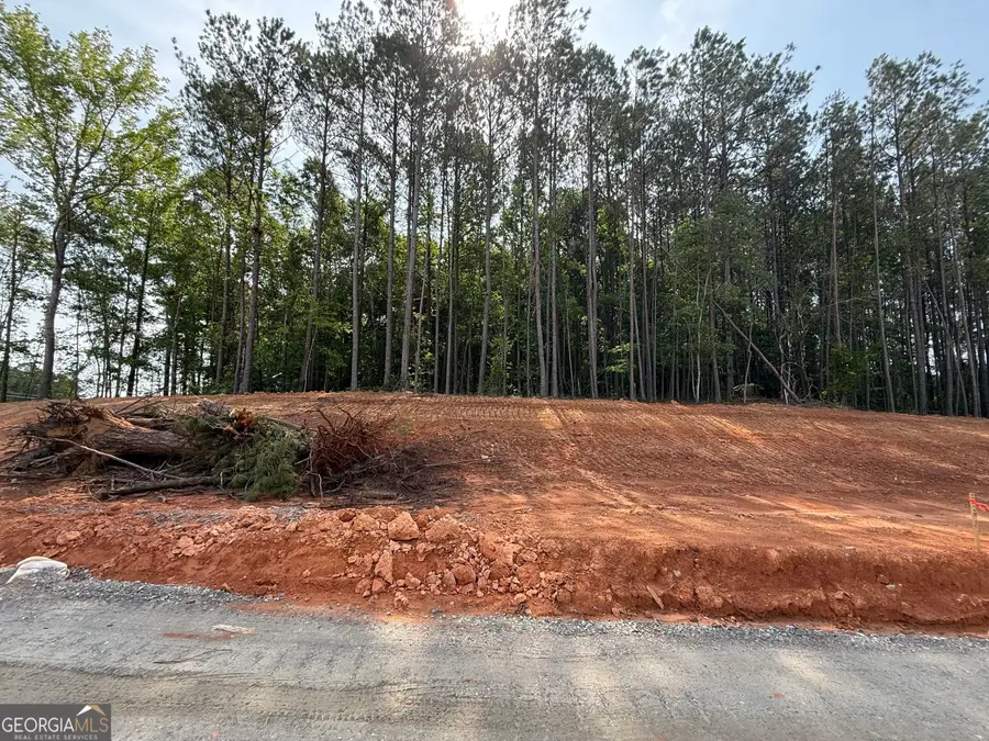 LOT 17 High Pointe, Lagrange, GA 30241 - #3