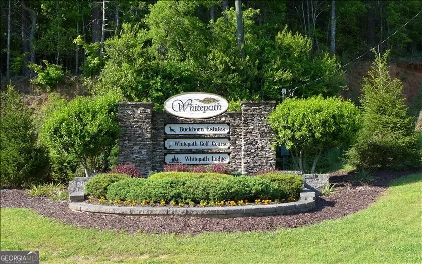 LOT 272 Seneca Drive, Ellijay, GA 30540 - #1