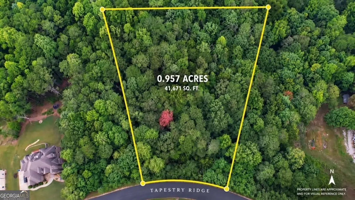 1610 Tapestry Ridge, Lawrenceville, GA 30045 - #1