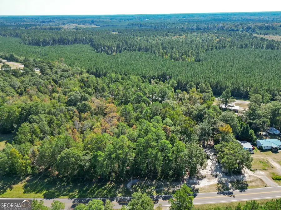 0 Friendship Road, Sylvania, GA 30467 - #3
