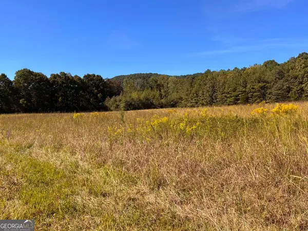36.55 ACRES Back Valley Road, Lyerly, GA 30730