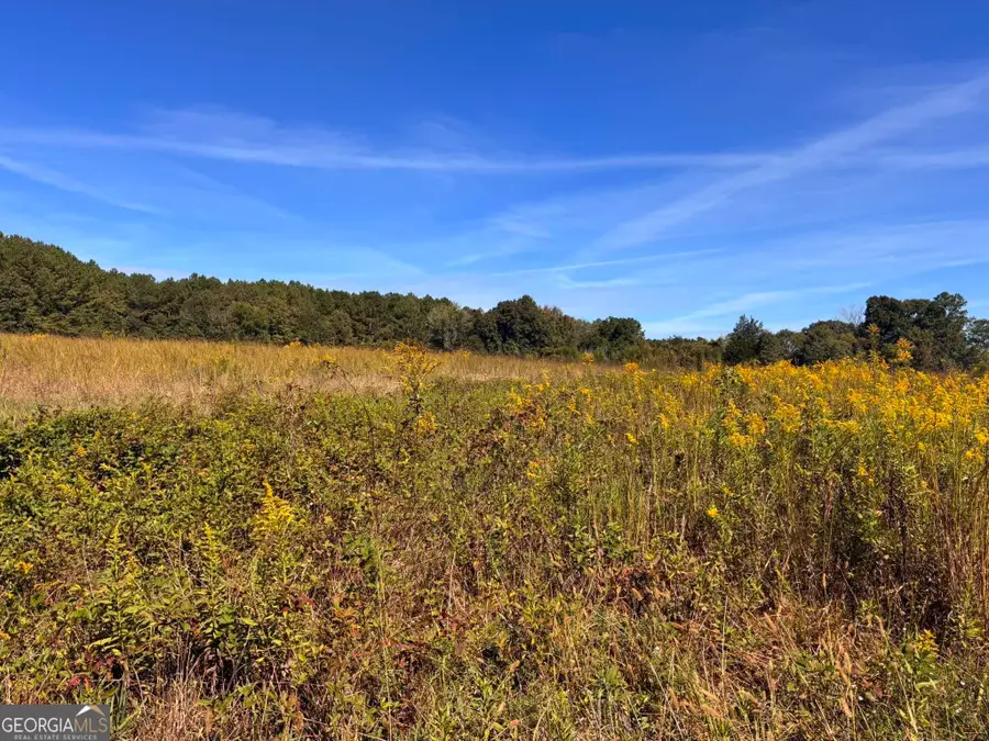 36.55 ACRES Back Valley Road, Lyerly, GA 30730 - #2