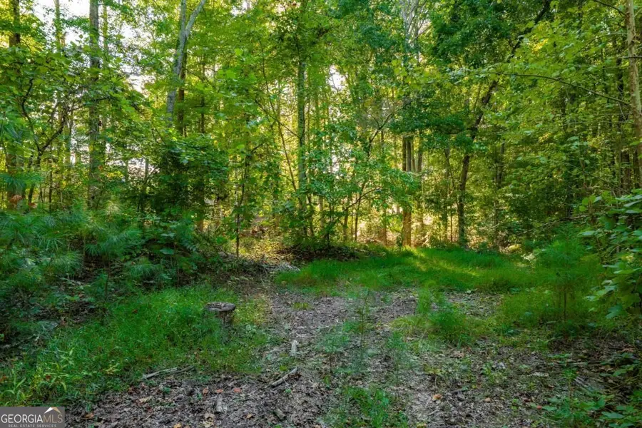 3015 Mars Hill Road Nw, Acworth, GA 30101 - #2