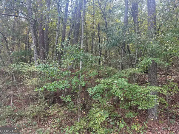 0 Carver Mill Road, Talking Rock, GA 30175
