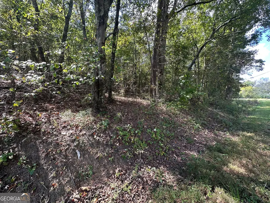 0 Carver Mill Road, Talking Rock, GA 30175 - #3