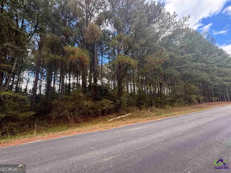 LOT 4 & 5 Limestone Landing, Cochran, GA 31014 - #3