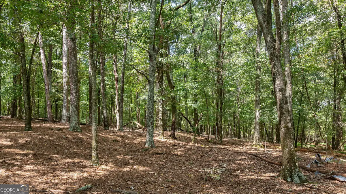 000 Middlebrooks Road, Watkinsville, GA 30677 - #1