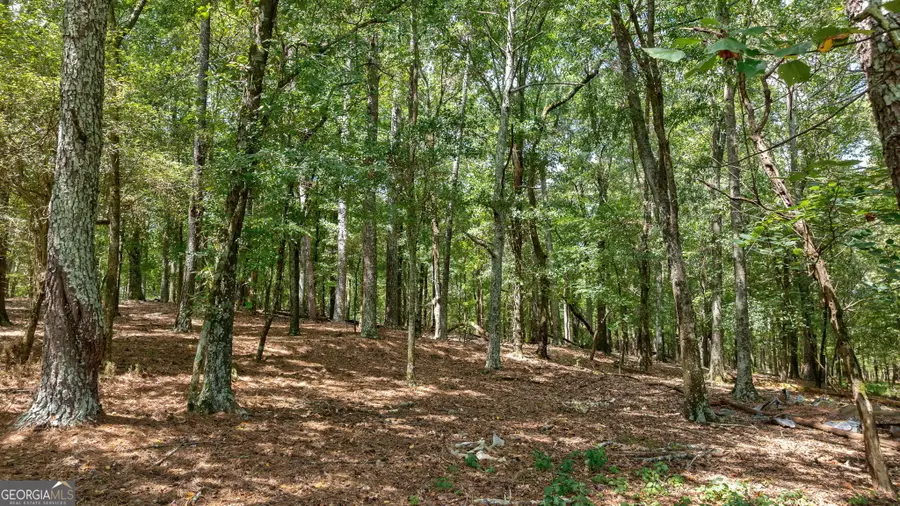 000 Middlebrooks Road, Watkinsville, GA 30677 - #2