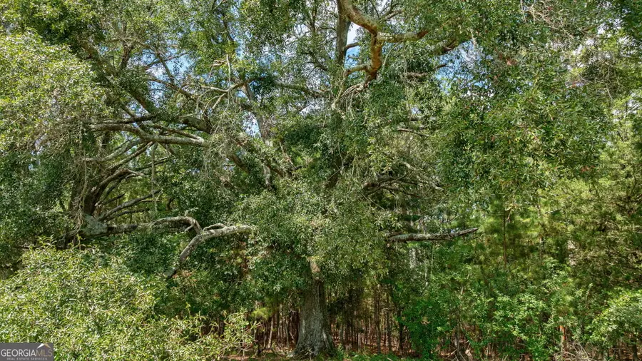 000 Middlebrooks Road, Watkinsville, GA 30677 - #3