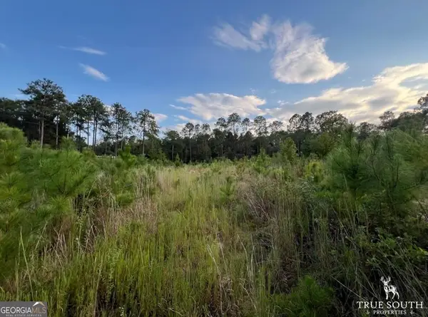 TBD Bedsole Rd, Eastman, GA 31023