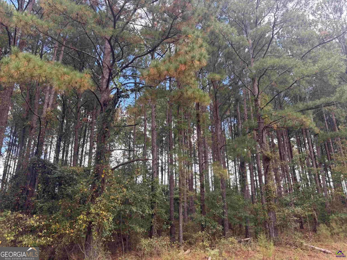 LOT 5 & 6 Limestone Landing, Cochran, GA 31014 - #1