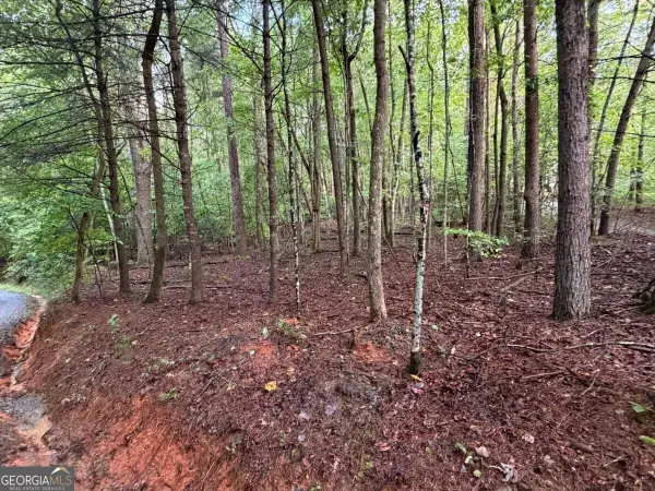 0 Peach Lane, Ellijay, GA 30536