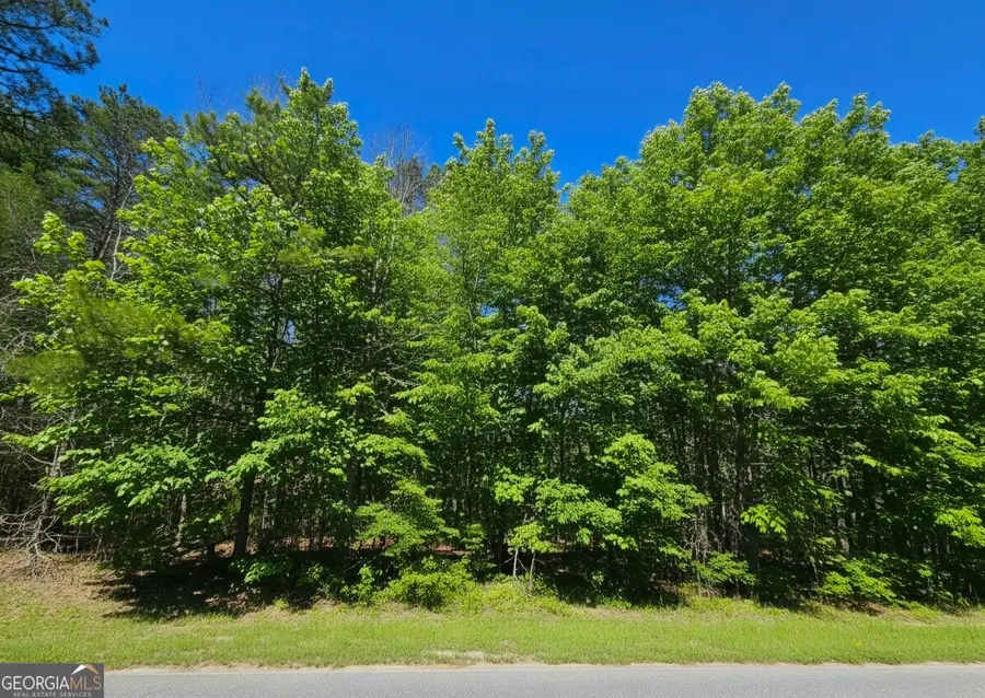 0 River Shoals Ct, Covington, GA 30016 - #2