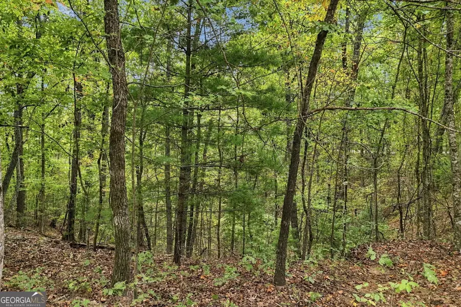 0 Lakeland Drive #003, Ellijay, GA 30540 - #3