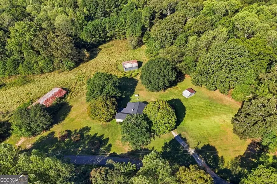238 Henry Turner Trail, Ball Ground, GA 30107 - #3