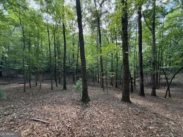 556 Satsuma Court S, Ellijay, GA 30540 - #1