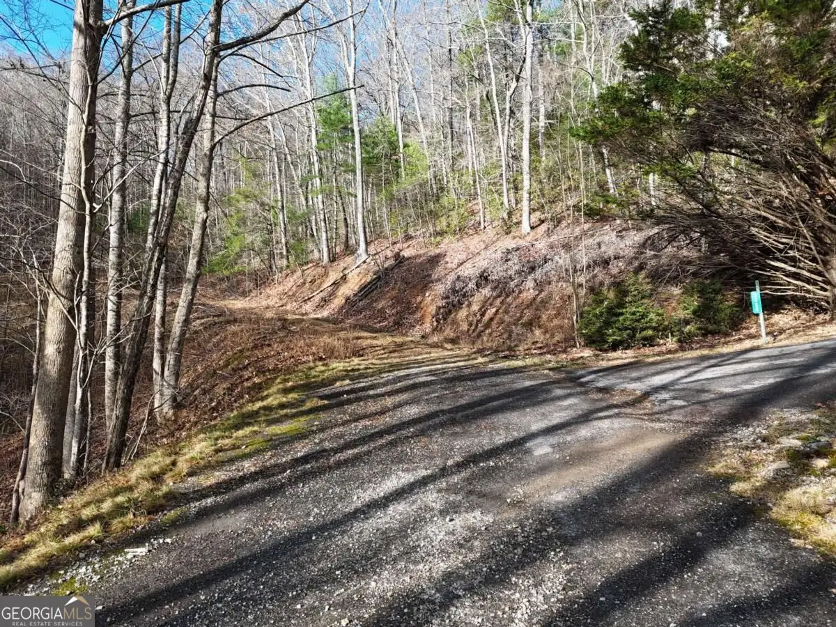 4.01 ACRES Park Hill Avenue, Blairsville, GA 30512 - #1
