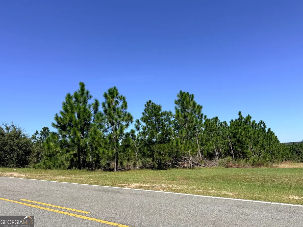 0 Altamaha Rd, Hazlehurst, GA 31539 - #1