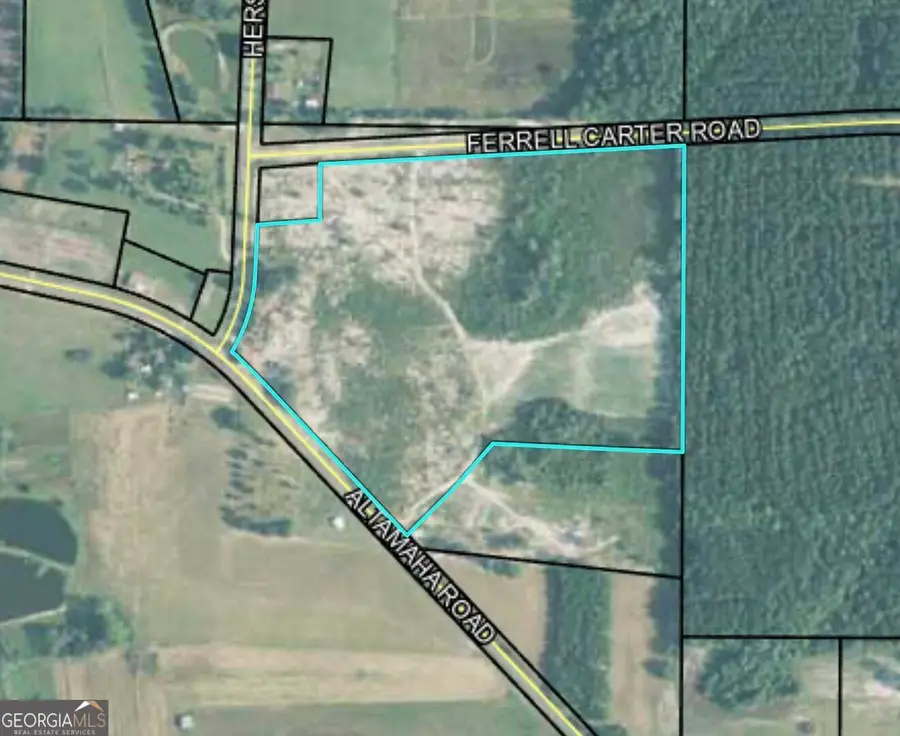 0 Altamaha Rd, Hazlehurst, GA 31539 - #2