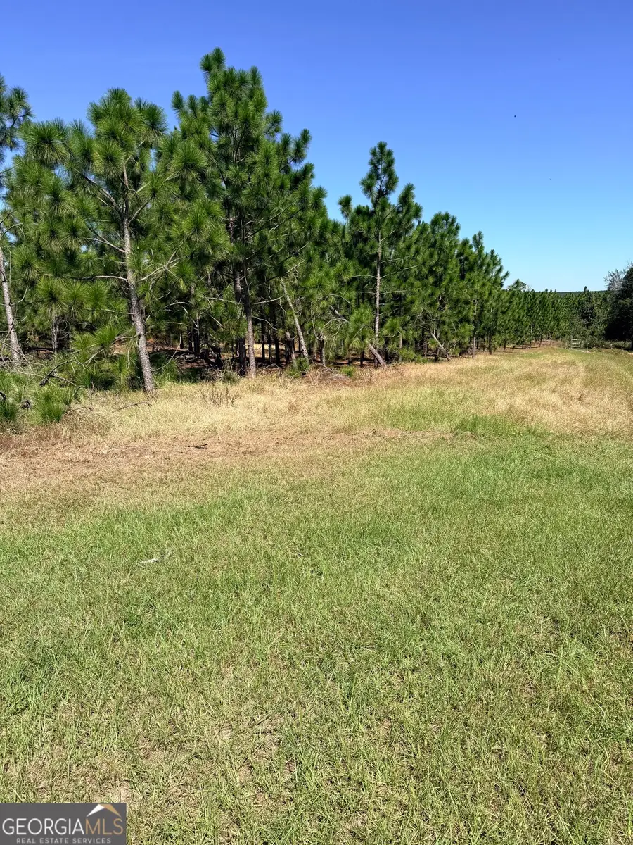 0 Altamaha Rd, Hazlehurst, GA 31539 - #3