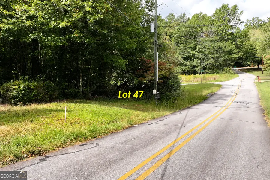 LOT 47 Barron Drive, Clarkesville, GA 30523 - #3