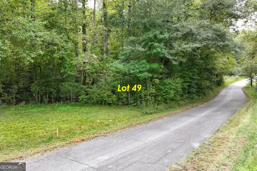 LOT 49 Stewart Drive, Clarkesville, GA 30523 - #2