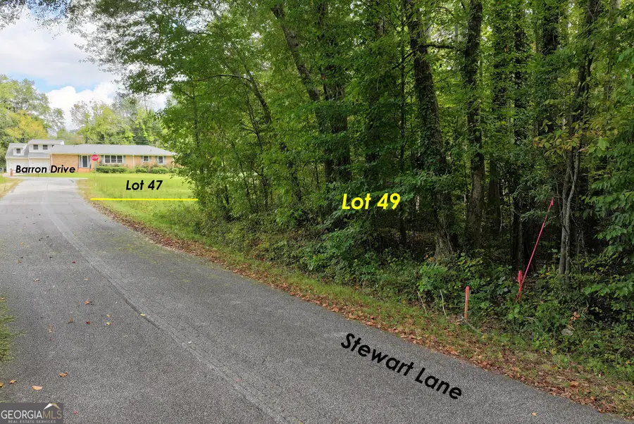 LOT 49 Stewart Drive, Clarkesville, GA 30523 - #3