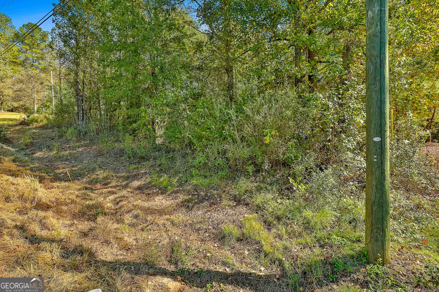 LOT 2 Raymond Hill Road, Newnan, GA 30265 - #2