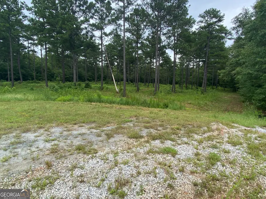 126 Potts Pond Road, Barnesville, GA 30204 - #3