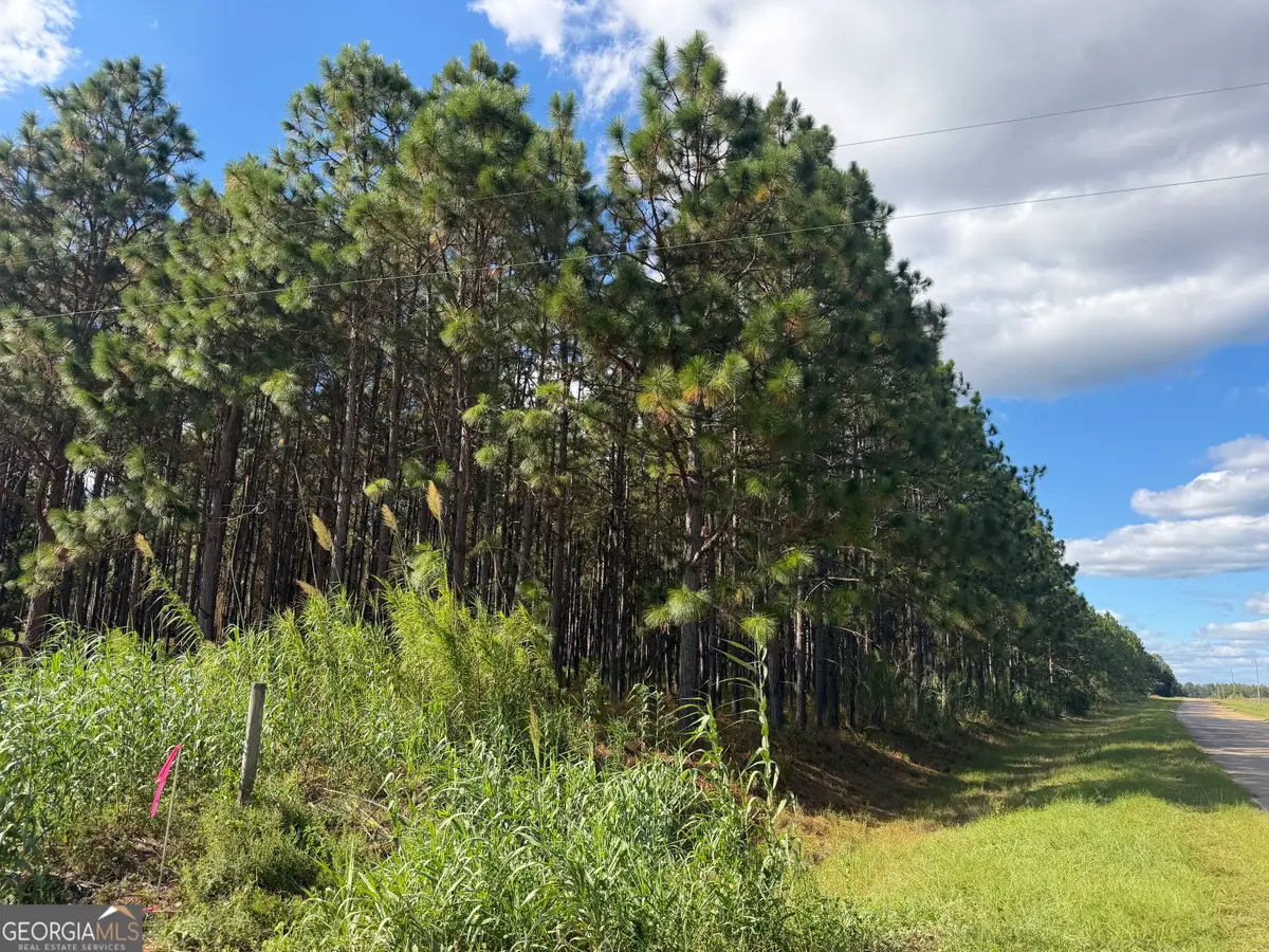 001 Sandy Bottom Road, Blakely, GA 39823 - #1