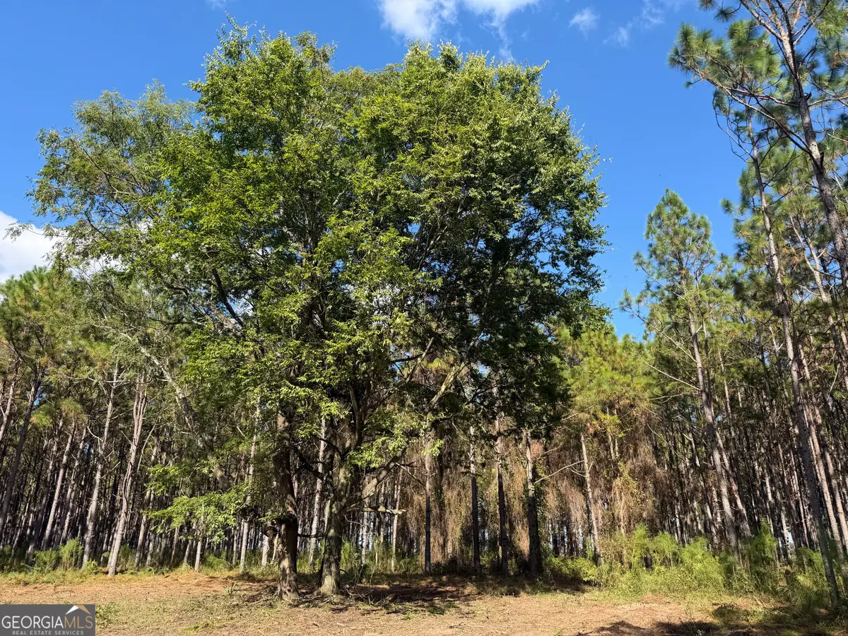 004 Five Bridges Road, Blakely, GA 39823 - #1