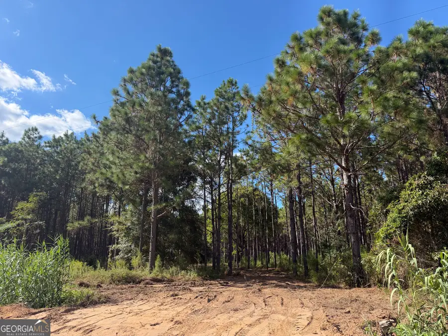 004 Five Bridges Road, Blakely, GA 39823 - #2