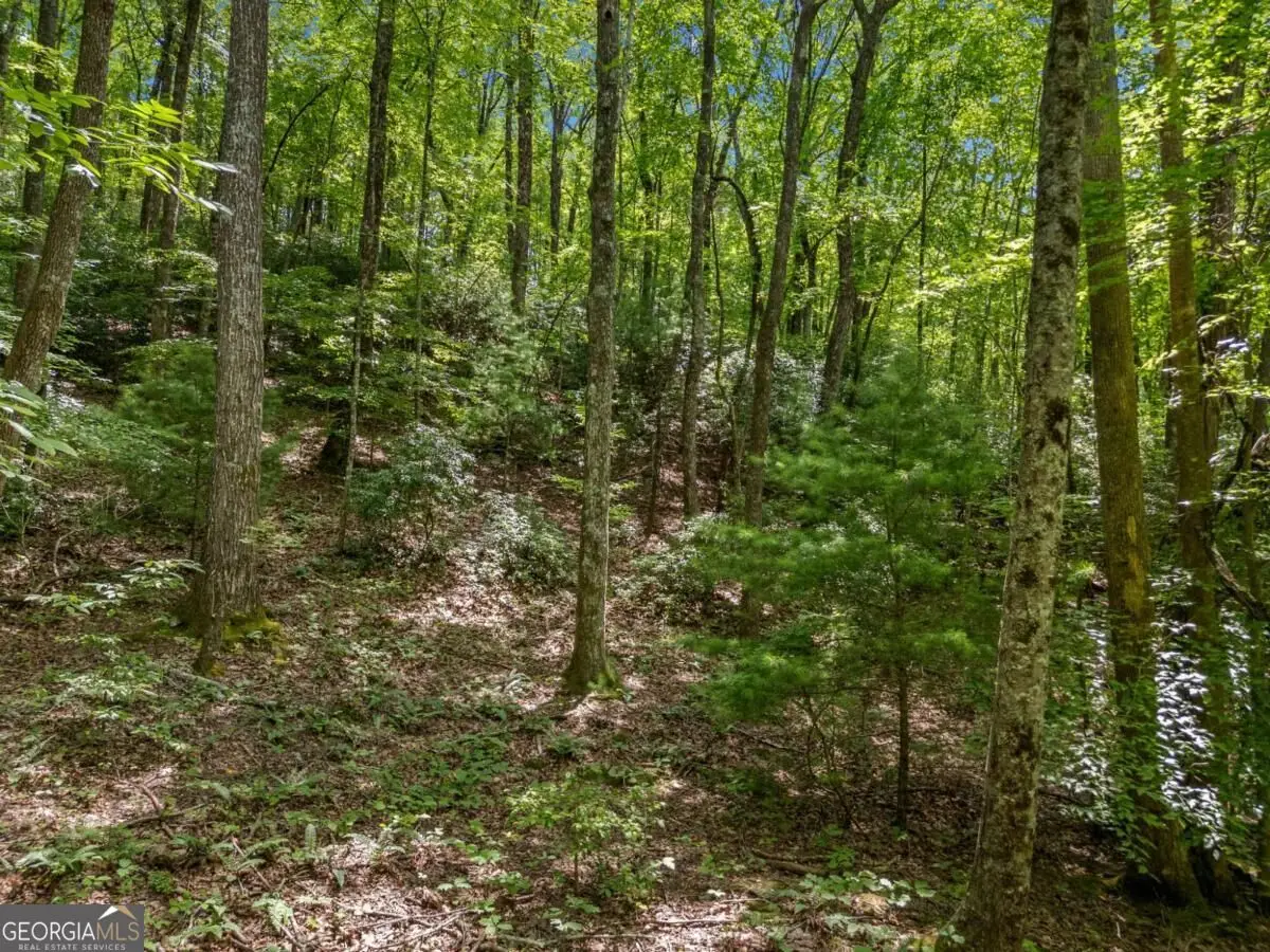 0 Paradise Lane, Blue Ridge, GA 30513 - #1