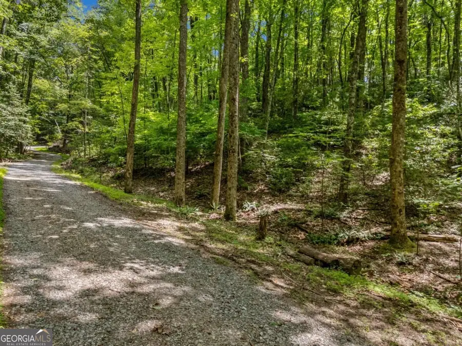 0 Paradise Lane, Blue Ridge, GA 30513 - #3