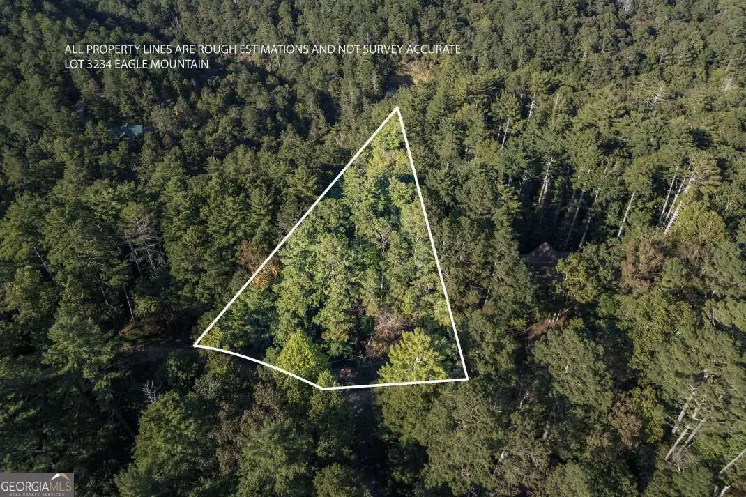 LOT 3234 Eagle Mountain, Ellijay, GA 30536 - #1