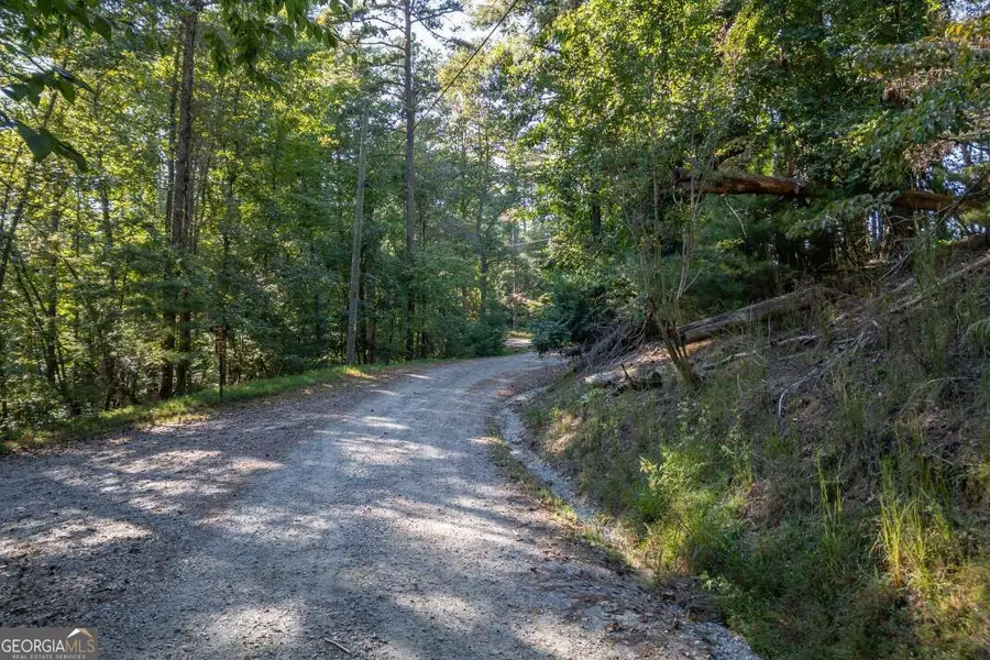 LOT 3234 Eagle Mountain, Ellijay, GA 30536 - #2