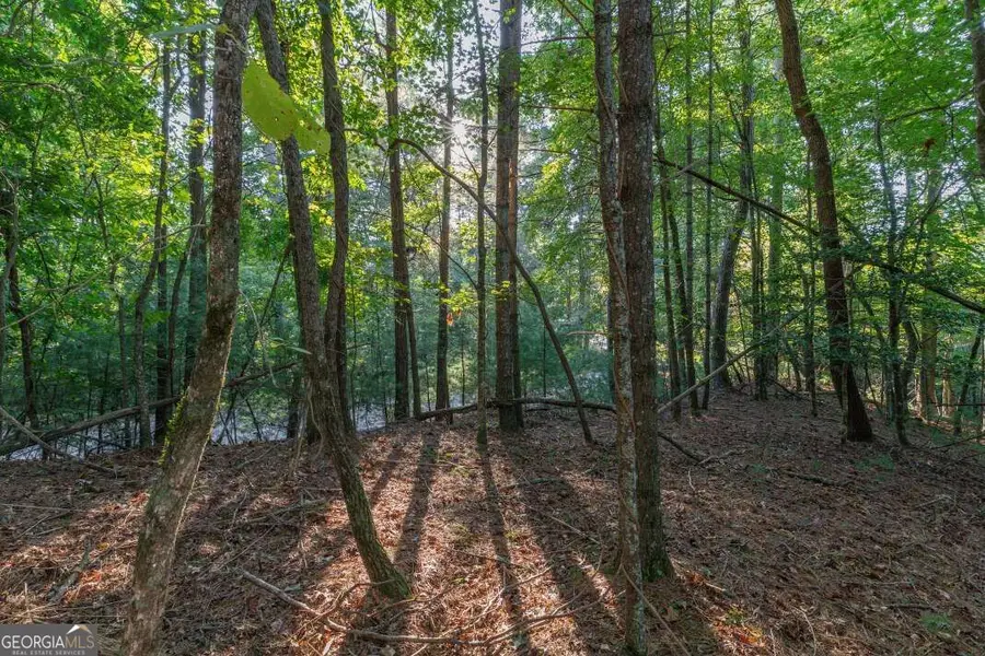 LOT 3234 Eagle Mountain, Ellijay, GA 30536 - #3