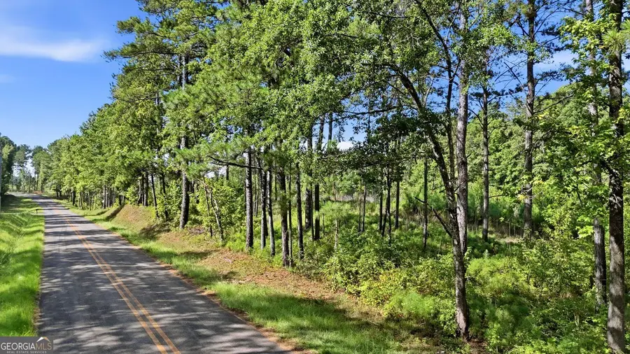 150+/- ACRES Giles Road, Forsyth, GA 31029 - #2