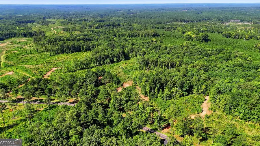 150+/- ACRES Giles Road, Forsyth, GA 31029 - #3