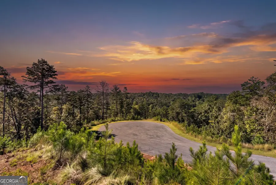 LT 267 River View Trail #LT 267, Ellijay, GA 30540 - #2