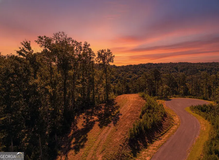 LT 267 River View Trail #LT 267, Ellijay, GA 30540 - #3