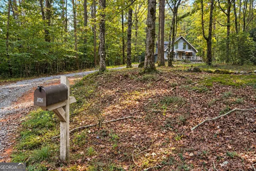 580 Riverwood Road #32, Ellijay, GA 30536 - #3