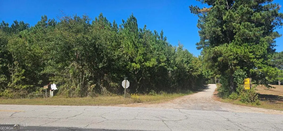 TRACT 1 Bethany Church Road, Lincolnton, GA 30817 - #1