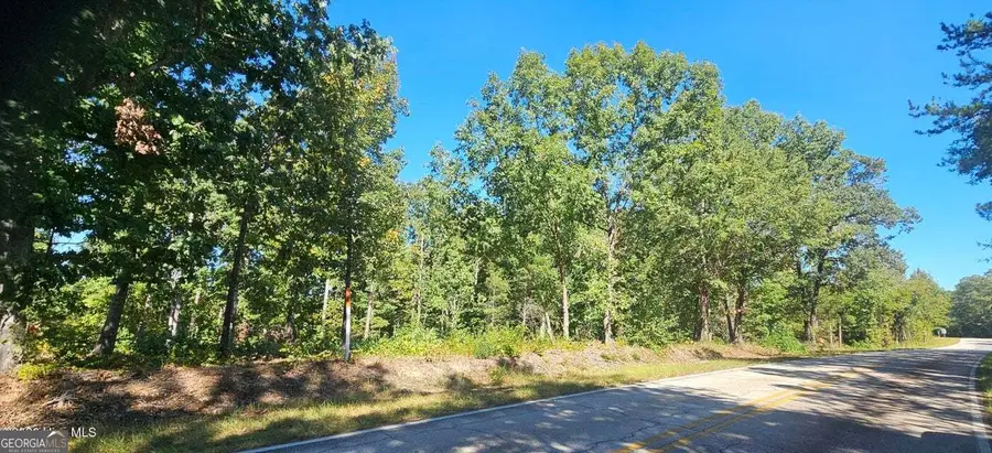 TRACT 2 Bethany Church Road, Lincolnton, GA 30817 - #2