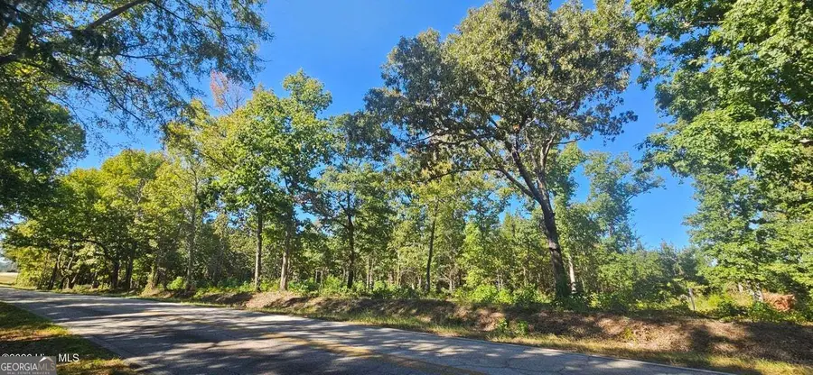 TRACT 2 Bethany Church Road, Lincolnton, GA 30817 - #3