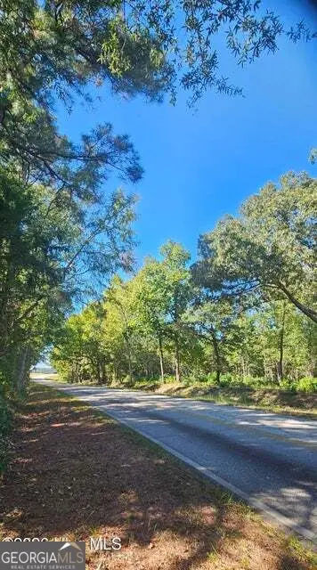 TRACT 3 Bethany Church Road, Lincolnton, GA 30817 - #2