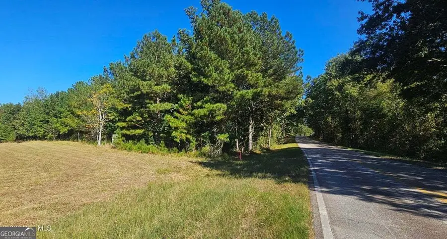 TRACT 3 Bethany Church Road, Lincolnton, GA 30817 - #3