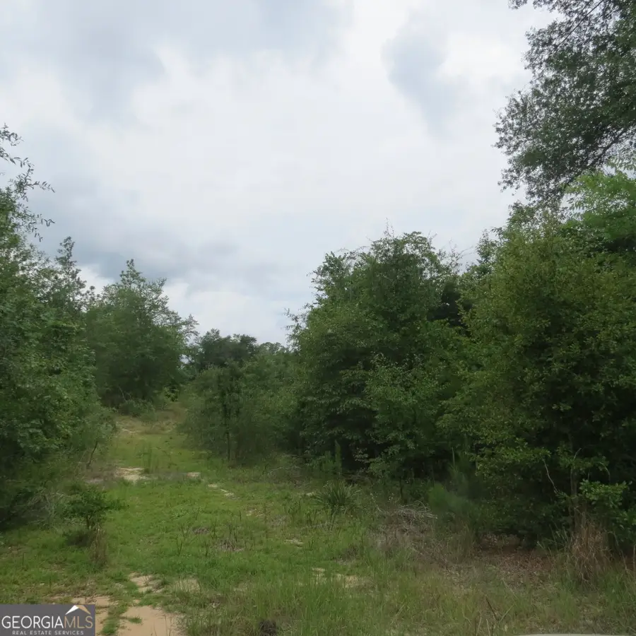 701 College Street, Eastman, GA 31023 - #3