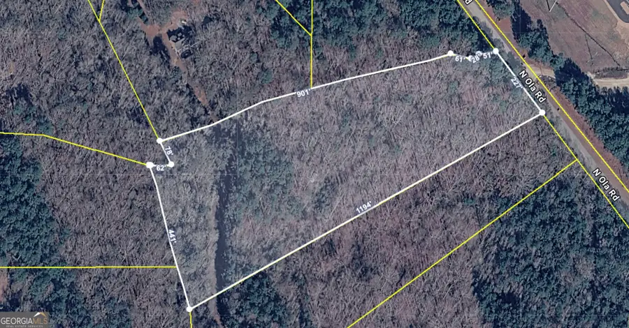 1585 N Ola Road, McDonough, GA 30252 - #2